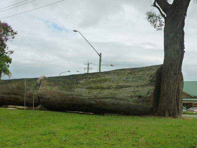 waughope log