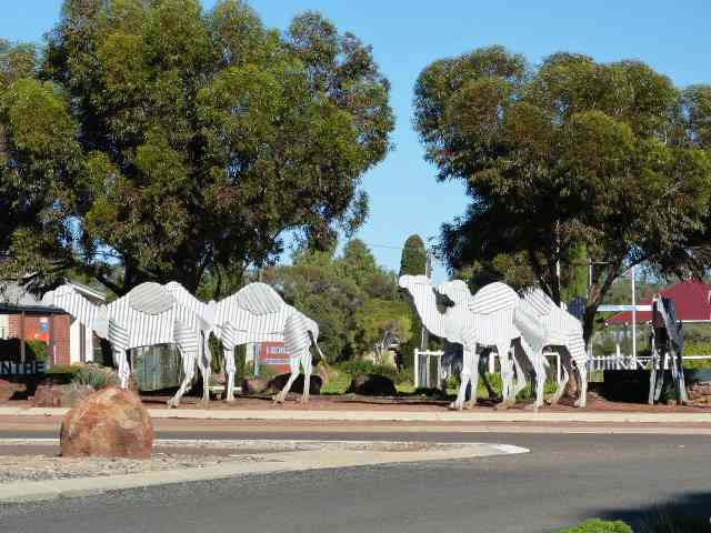 Tin Camels