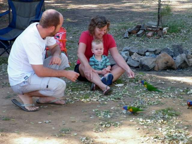 wendy kris kale parrots at TC